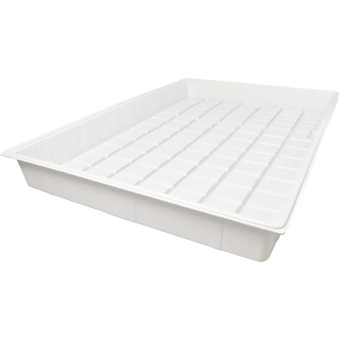 Active Aqua - Bandeja Blanca Exclusivo de 4x6 pies