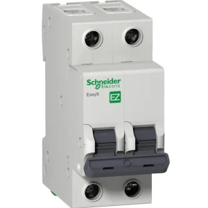 Interruptor termomagnetico EASY9 de 2 Polos 63A riel DIN - Schneider