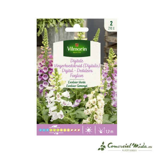 VILMORIN Semillas Con display Excelsior Variada con Garantí de 3 ños