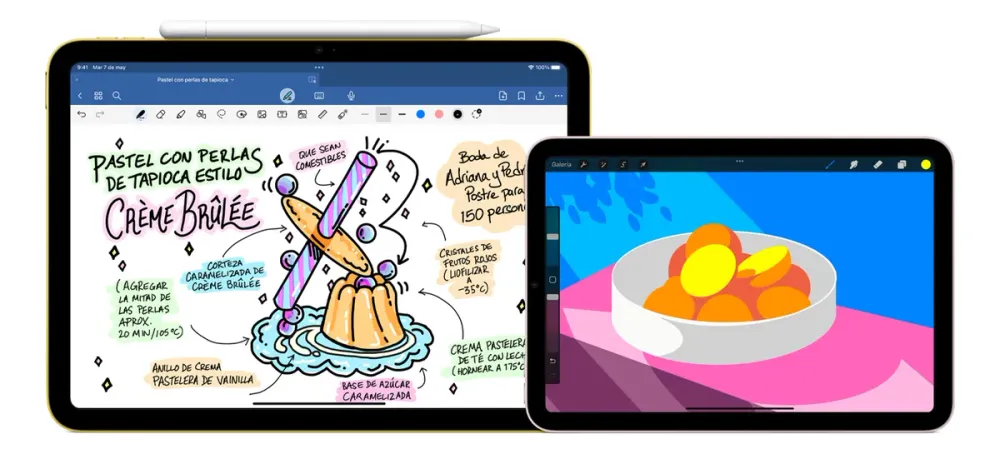 Apple Pencil Pro 3C Accesorios