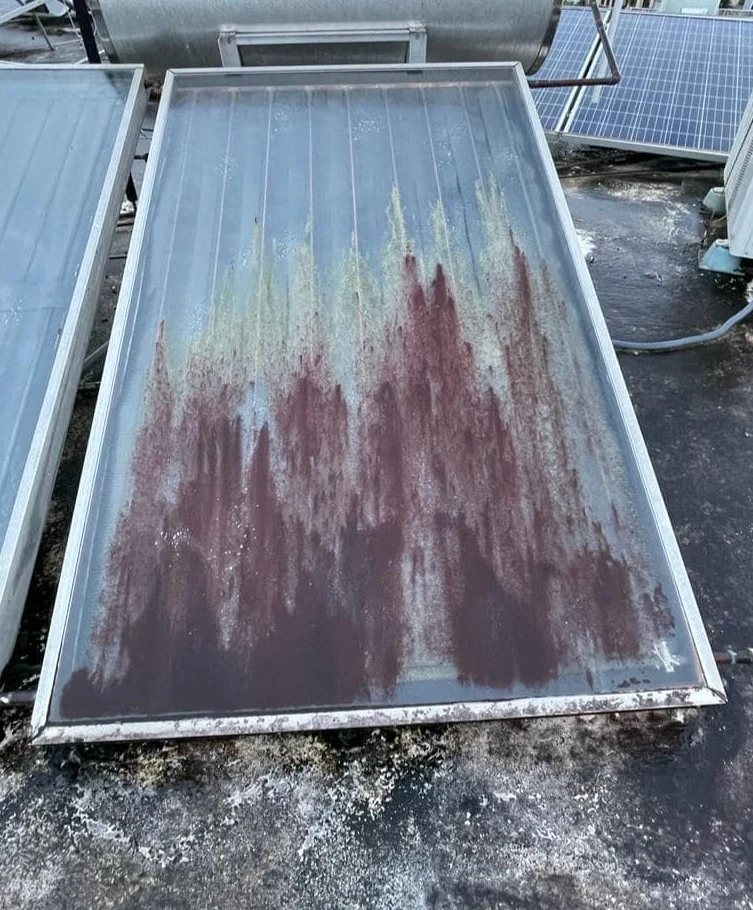 CLEANMAX PANEL | Galón (Concentrado 1:4) ANY PARTS CORP.