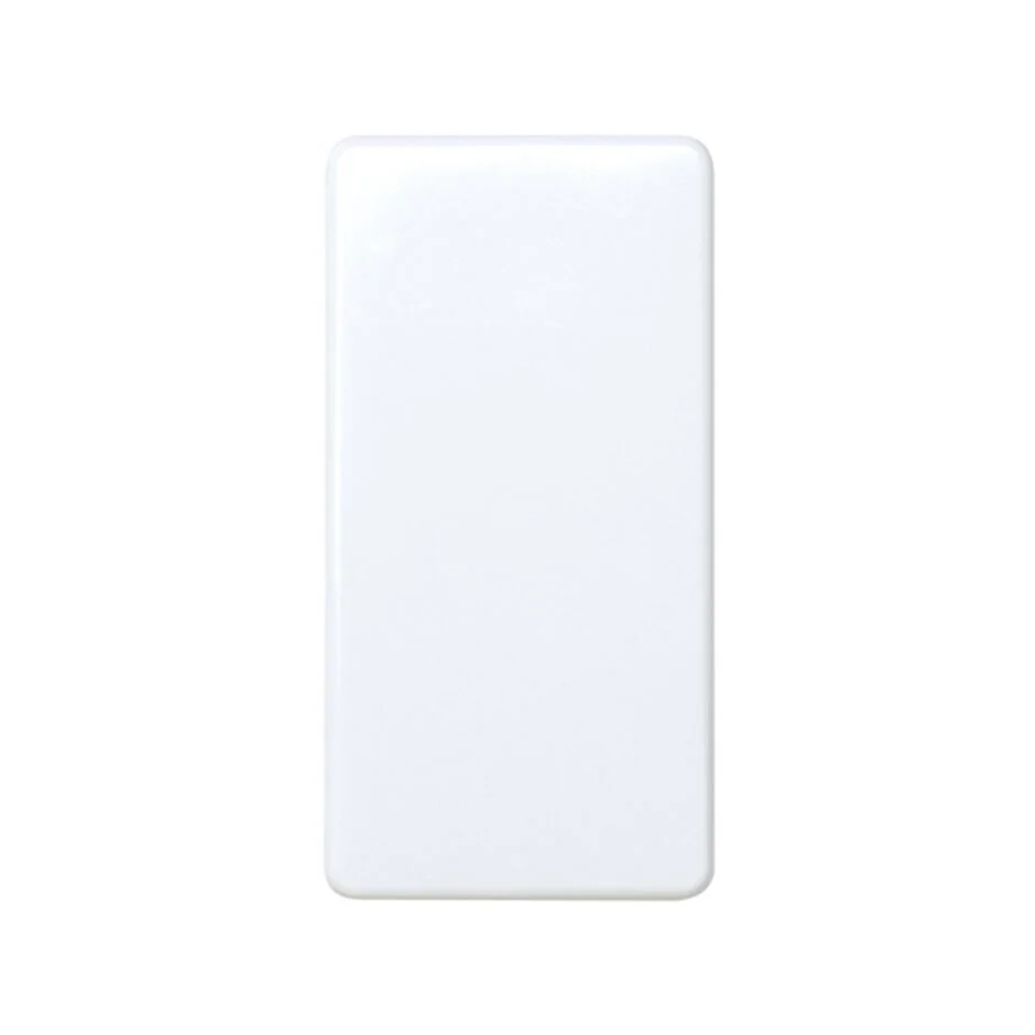 27101-64 INTERRUPTOR BLANCO NIEVE