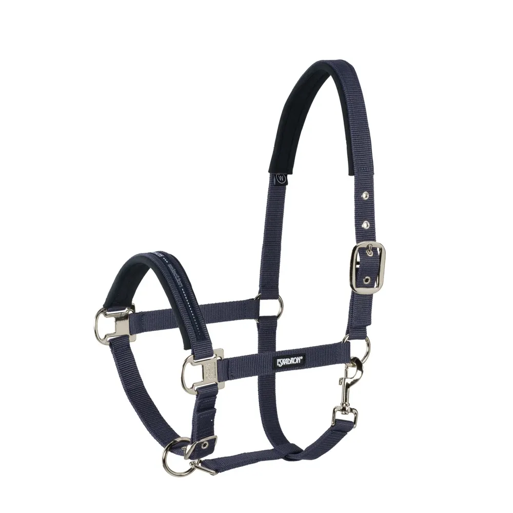 Cabezada de Cuadra Hebilla Rectangular Eskadron ñil Nights P