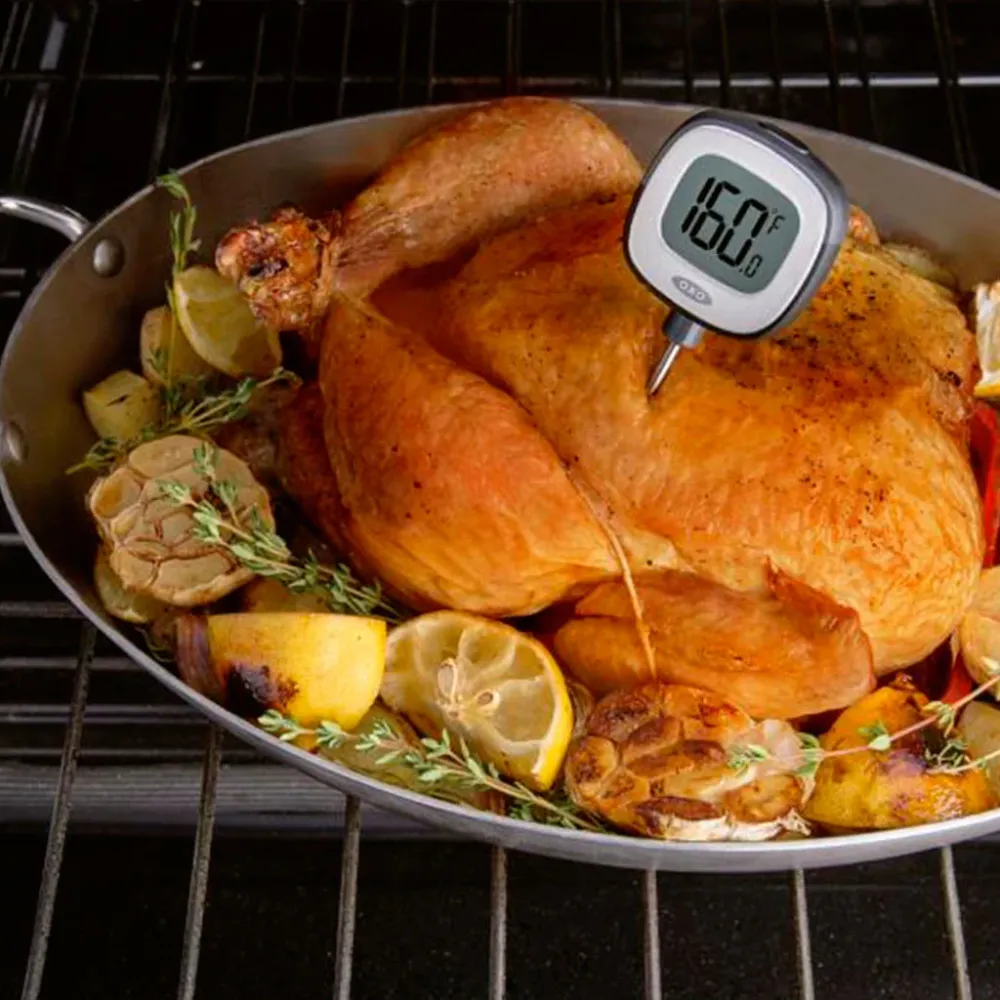 OXO Digitalizado Thermometer