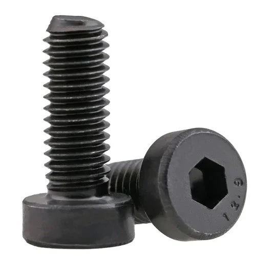 Tornillo Socket Cilindro Cabeza Baja - M6-1.00 X 12 Resistente la Corrosión