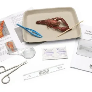 Crayfish Dissection Kit